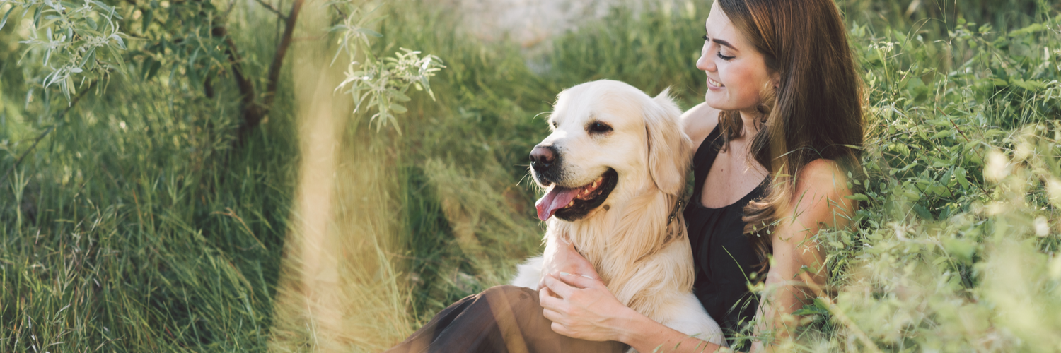 Pet Care Insurance Massachusetts