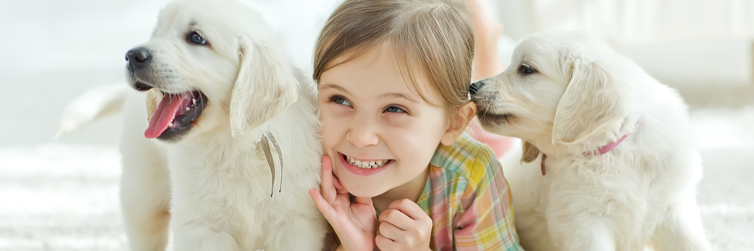 Pet Insurance Massachusetts