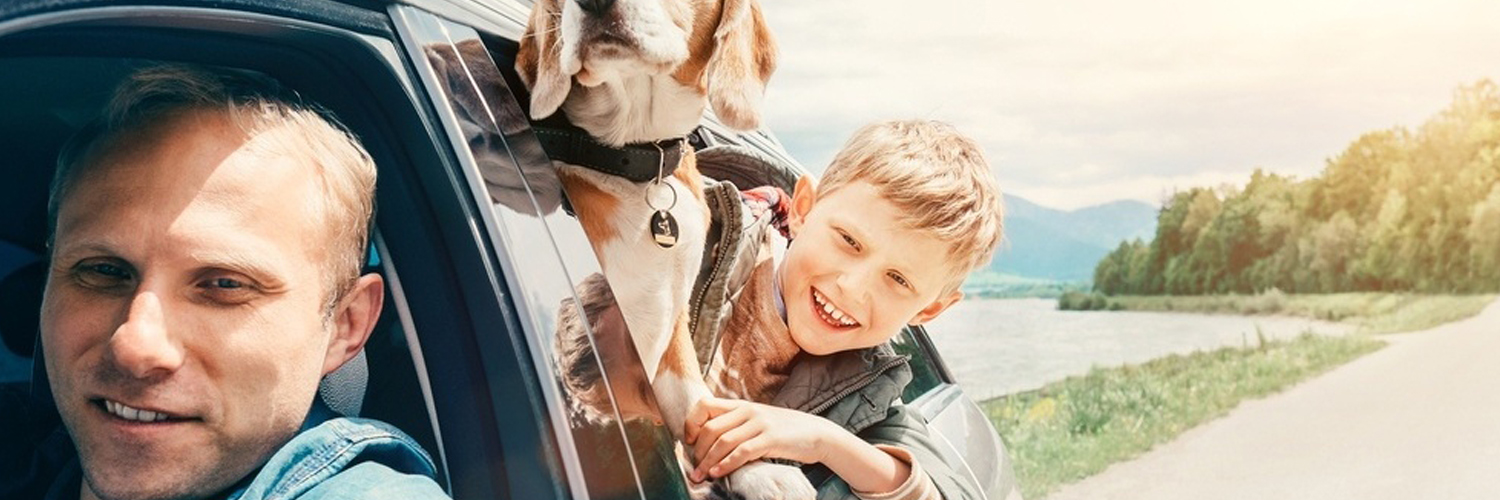 car insurance massachusetts