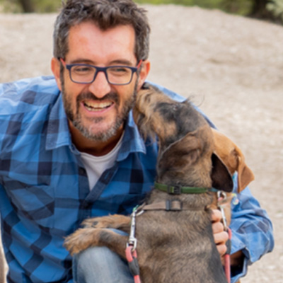 Dog Walker Insurance Massachusetts