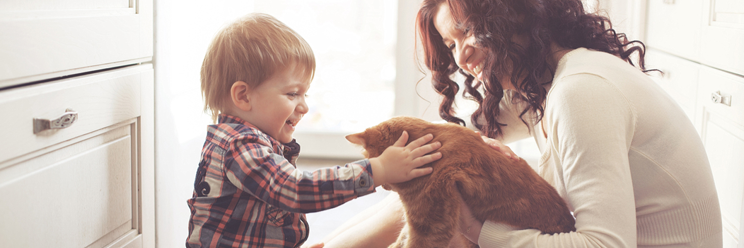 personal insurance massachusetts