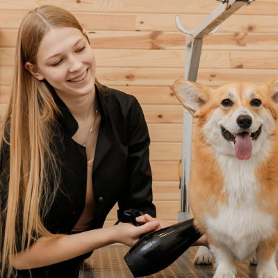 Pet Groomer Insurance Massachusetts