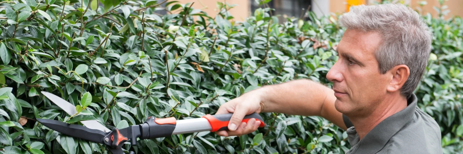 landscaping insurance in worcester ma