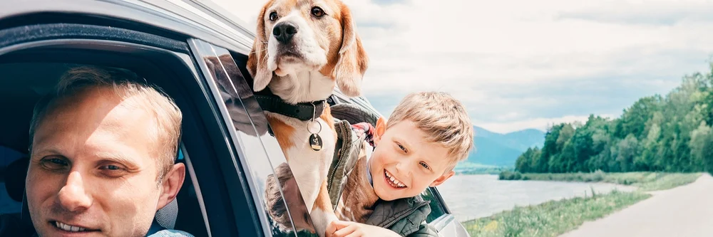 personal umbrella policy worcester ma