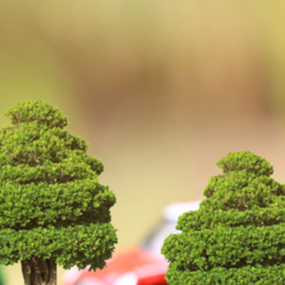 Tree Service Insurance Massachusetts