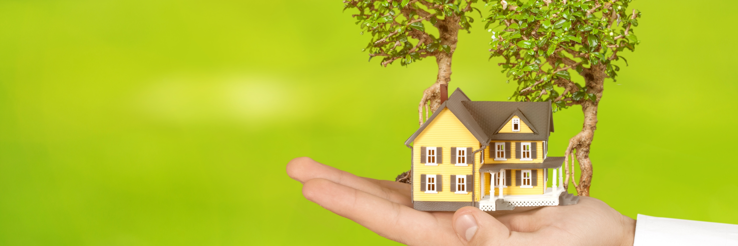 Tree Service Insurance Massachusetts