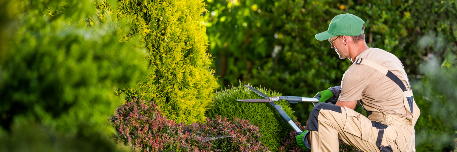 Landscaping Insurance Massachusetts